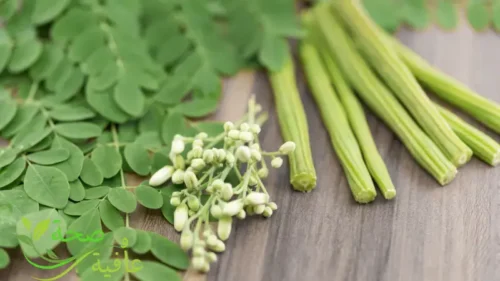 فوائد عشبة المورينجا لصحة الجسم والعقل