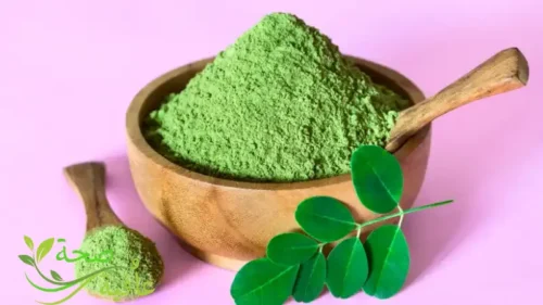 فوائد عشبة المورينجا الغذاء المعجزة 