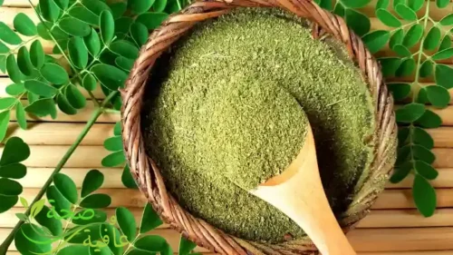 فوائد عشبة المورينجا الغذاء المعجزة لصحة الجسم والعقل