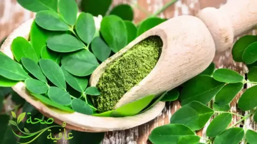 عشبة المورينجا