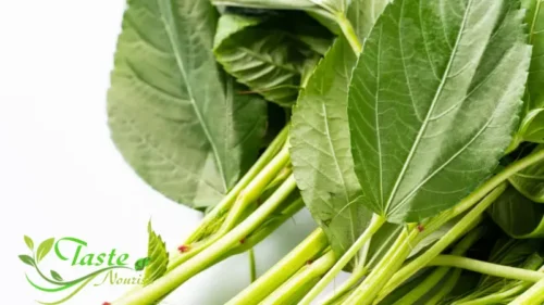 The Remarkable Benefits of Mulukhiyah | A Nutritional Powerhouse