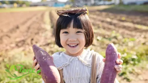Air Fryer Sweet Potato Fries | Crispy, Healthy 