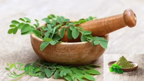 Benefits of Moringa Herb | 15+ Science-Backed Reasons This Miracle Tree Transforms 