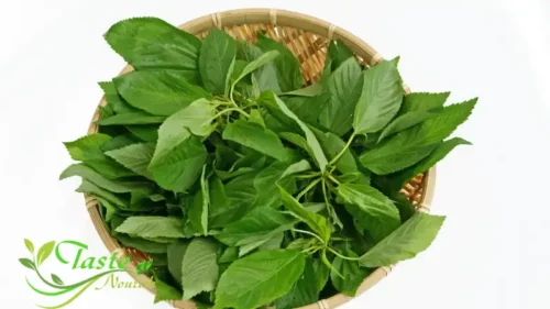 Side Effects of Molokhia | Complete Safety Guide, Drug Interactions 