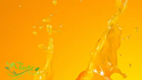 Sparkling Orange Juice | Carbonated Citrus Perfection